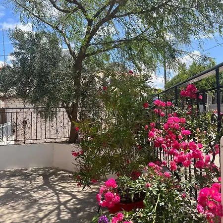 Sunny House At Ancient Mycenae, Close To Nafplio! *