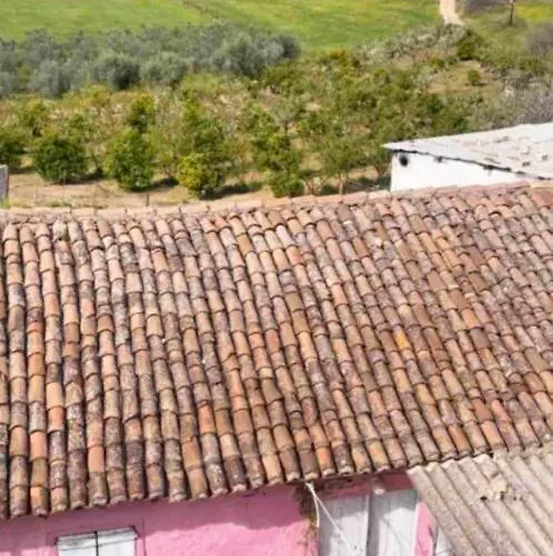 Sunny House At Ancient Mycenae, Close To Nafplio! Mykines